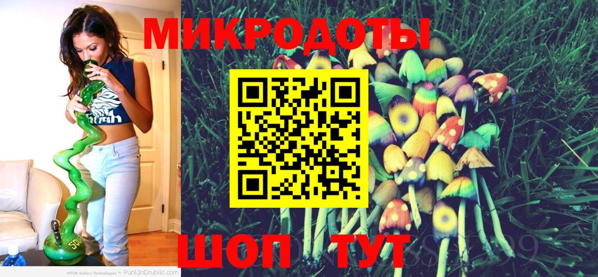 Псилоцибиновые грибы Psilocybe Егорьевск