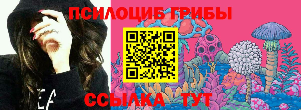 где купить наркоту  Галлюциногенные грибы ЛСД  Егорьевск  Вход с VPN  Галлюциногенные грибы GOLDEN TEACHER 